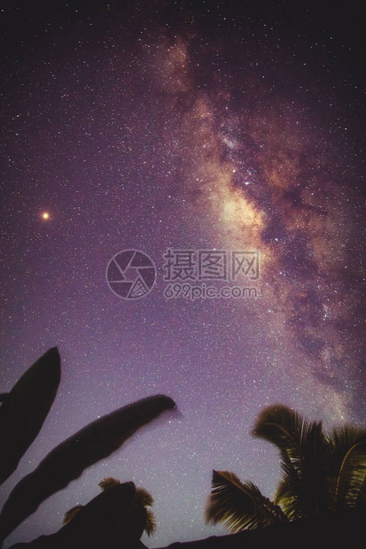 椰子树的剪影与南半球银河系的星图片