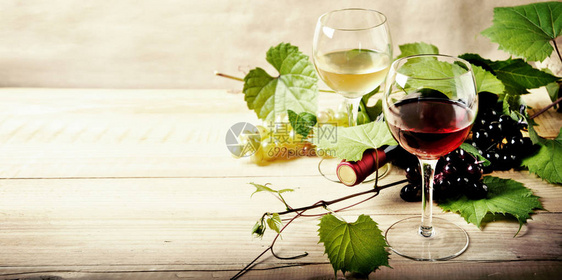老式木桌上的红酒和白葡萄酒瓶子和葡萄藤酒厂和品酒的概念餐厅藤列表图片
