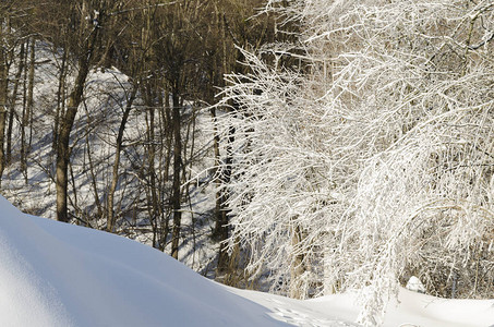 寒冬风景雪漂流和冰冷的一天阳光图片