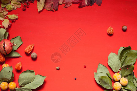秋天背景黄色和红色叶子水果坚图片