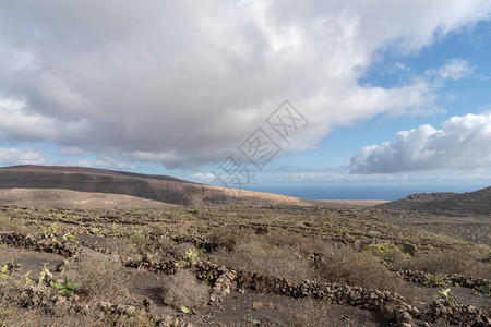 西班牙加那利群岛Lanzarote岛火山土图片