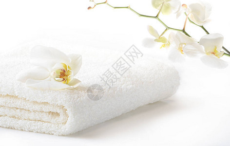 白色的软毛巾白兰花枝和白图片