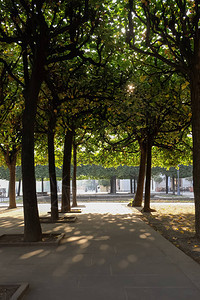 市中心绿树广场景观图片