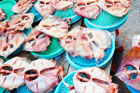 在南韩釜山的Jagalchi著名鱼市出售图片