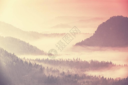 山顶周围雾蒙的日出山林景观阴霾景观图片