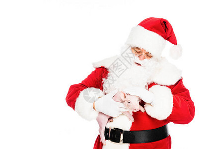 圣诞老人抱着小猪抚摸着被图片