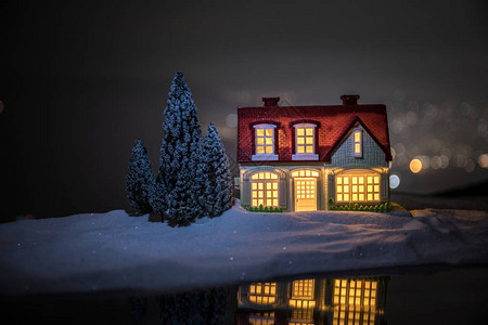 晚上在雪地里的圣诞节和微型房子与枞树图片