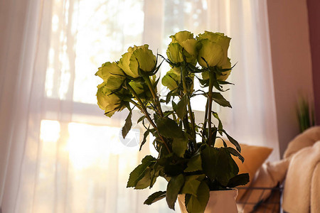 花瓶里的一束美丽的绿玫瑰图片