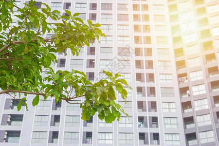 城市户外公寓绿化建筑生态环境单图片