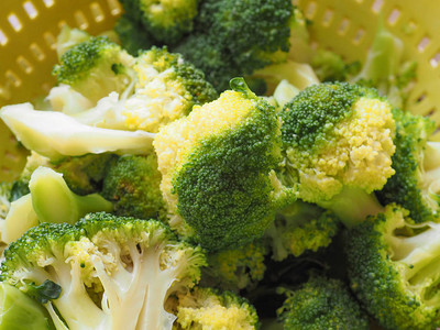 西兰花卷心菜Brassicaoleracea蔬菜素背景图片
