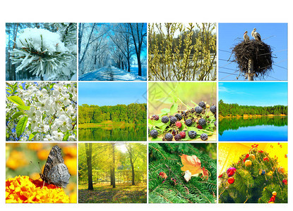空白与不同的十二色自然图像日历准备好日历的照片年历的图片图片