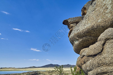 美丽的全景夏季草原景观图片