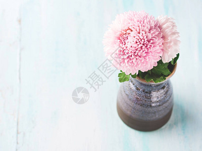 花瓶中的粉红菊花背景图片