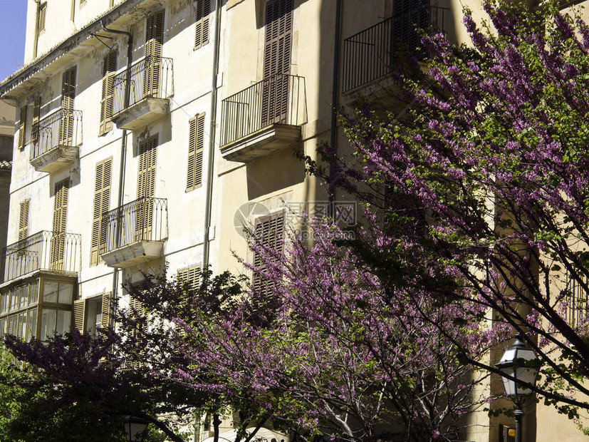 帕尔马vs拉齐奥直播免费观看