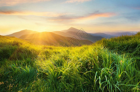 日落时山谷田野有新鲜的草地和山丘夏季图片