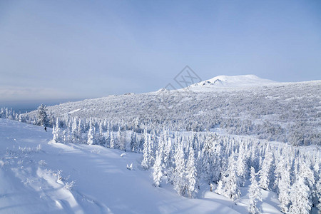 从山顶景观冬季山谷白雪皑的山峰和树木丘陵雾气云层的全景风区图片