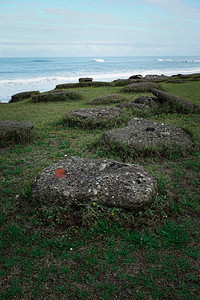 海岸的海滩图片