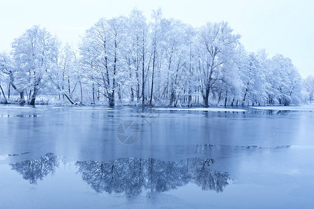 美丽的冬季公园有冰湖图片