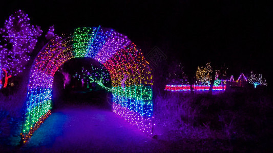 花园里装饰着圣诞灯饰的隧道背景图片