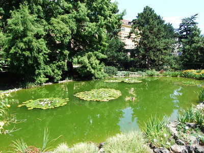 萨格勒布市植物园的池塘图片