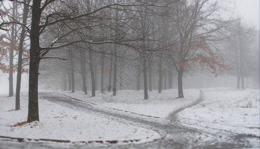 城市公园的第一场雪冬季风景福吉早晨神奇森图片