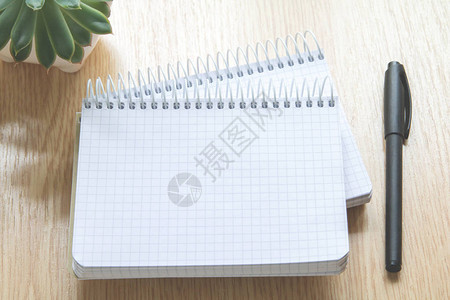 一对的笔记本与干净的方格床单和黑色笔靠近木桌上的肉质植物图片