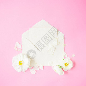 粉红色背景的白花瓣和旧信封由白花瓣图片