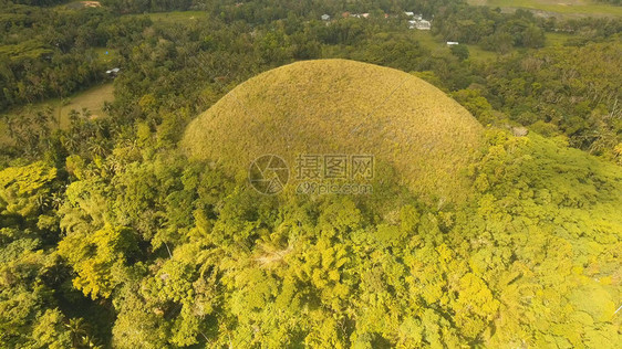 在阳光明媚的日子里图片