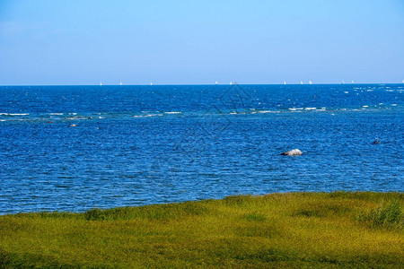 夏季大泛海滩景色阳光明日有岩石图片