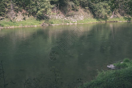 夏季树后面的绿水河图片