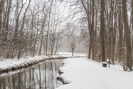 公园冬季景观图片