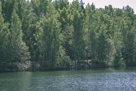 湖边寒冷的夏日风景图片