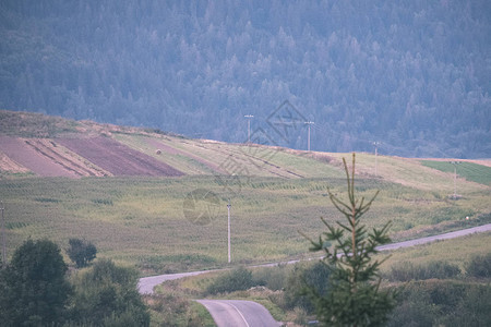 通往斯洛伐克山丘的绿色草原上的乡村砂砾路图片