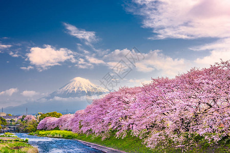 富士山日本春天风景图片