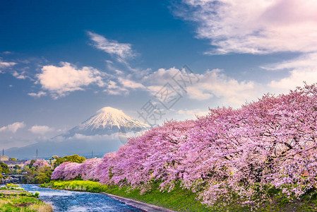富士山日本春天风景图片