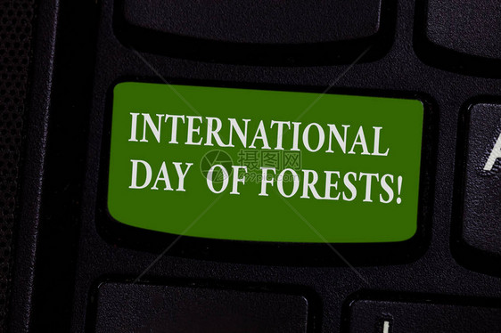 文字书写文本国际森林日自然环境庆祝活动的商业理念键盘意图创建计算机消图片