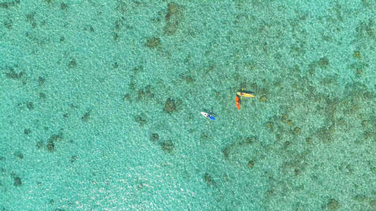 一群朋友在库克群岛的独木舟和桨板在宁静的翡翠海水中度过美妙的假期图片