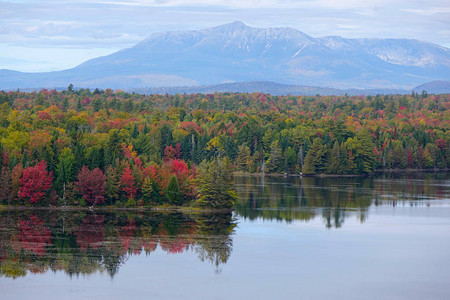 无尽的树木和树叶在秋天改变颜色的风景如图片
