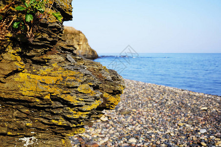 岩石在大海和卵石滩的背景下关闭悬崖后面是海边和碧蓝的海水俄罗斯东部图片