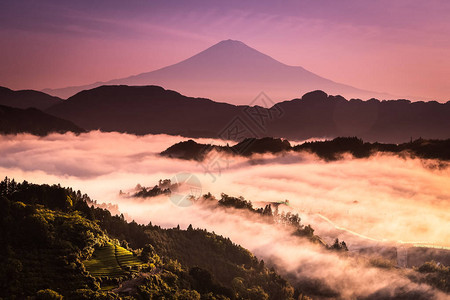 早晨的富士山和雾海图片