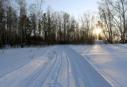 冬季景观白雪皑的森林中的霜冻树木在美妙的冬季森林中的道路日落时美图片