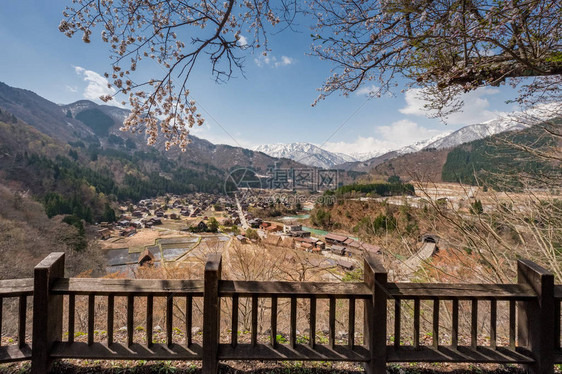 白川果村的空中景象图片