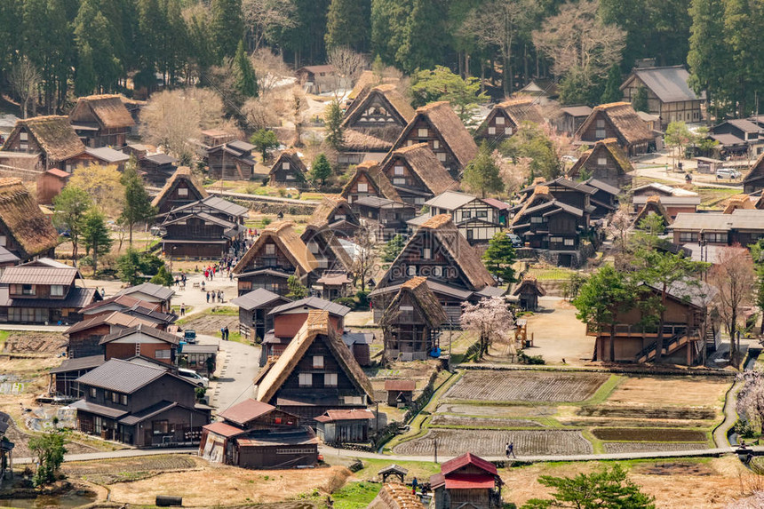 白川果村的空中景象图片