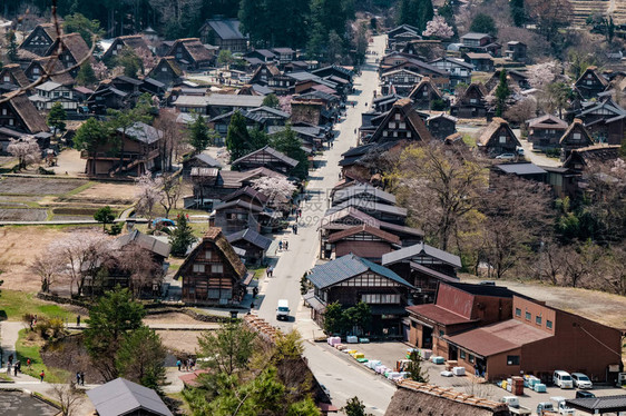 白川果村的空中景象图片