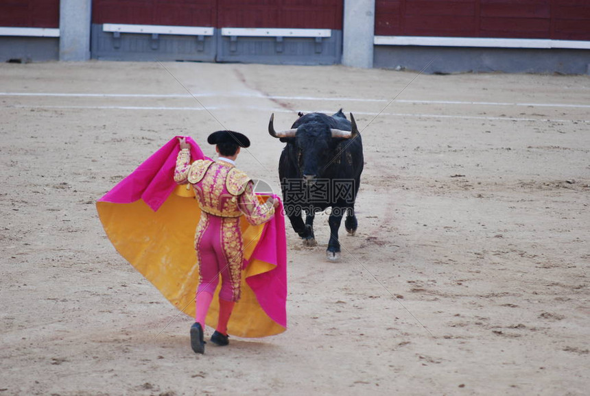 公牛对决黄蜂全场激战直播呈现精彩瞬间与实时赛况
