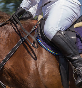 马鞍上的马镫赛跑纯种马背景图片