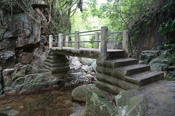 大鱼在水里游来去图片