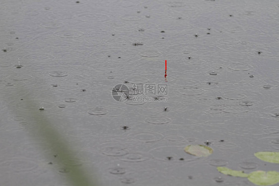 雨中漂浮在水面上的特写镜头图片