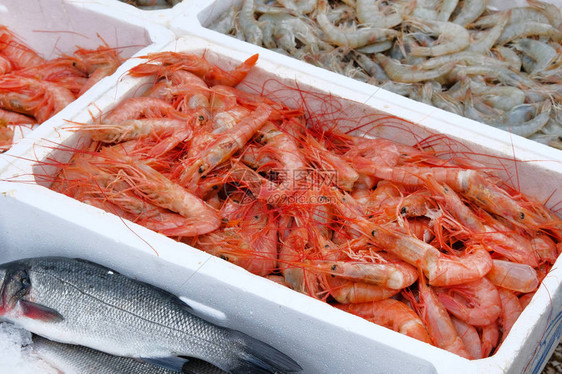 装在容器中的新鲜虾和鲈鱼市场图片