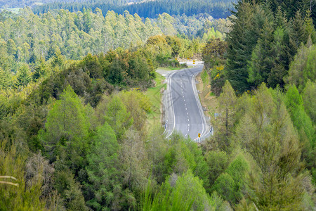 新西兰岛南边公路边缘的原生森林中环绕着风景优美的山丘图片